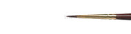 Brushes Gallery short handel round, Winsor&Newton