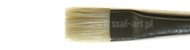 Winsor&Newton bristle brushes short flat brush azanta series