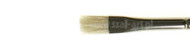 Winsor&Newton bristle brushes short flat brush azanta series