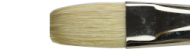 Brushes Winton, series Flat Long, Winsor&Newton