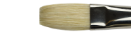 Brushes Winton, series Flat Long, Winsor&Newton