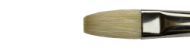 Brushes Winton, series Flat Long, Winsor&Newton