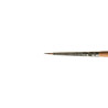 Series 1001R - brush gold synthetic round, long handle SZAŁ DLA PLASTY