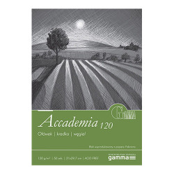 Blok Gamma accademia