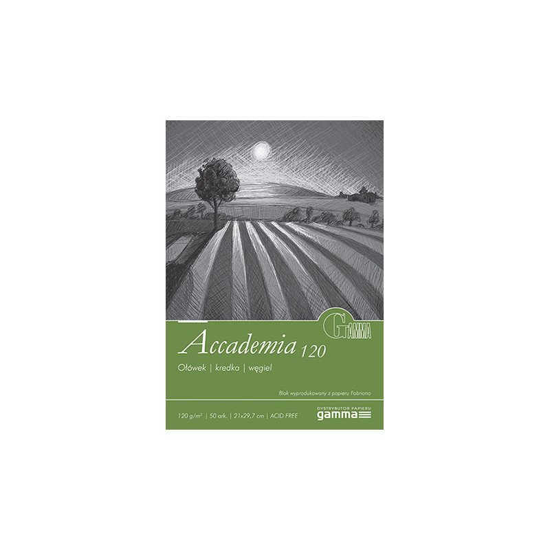 Blok Gamma accademia