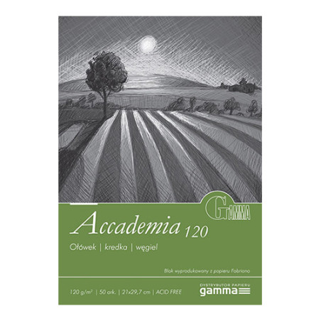 Blok Gamma accademia - sklep plastyczny - szał dla plastyków