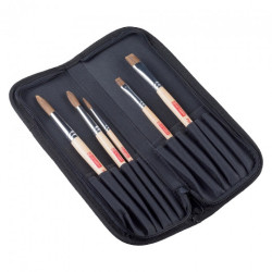 Talens artcreation set of 5 brushes in horsehair and polyester case
