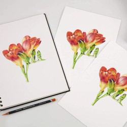 Derwent procolor set of 12 artistic pencils metal pack